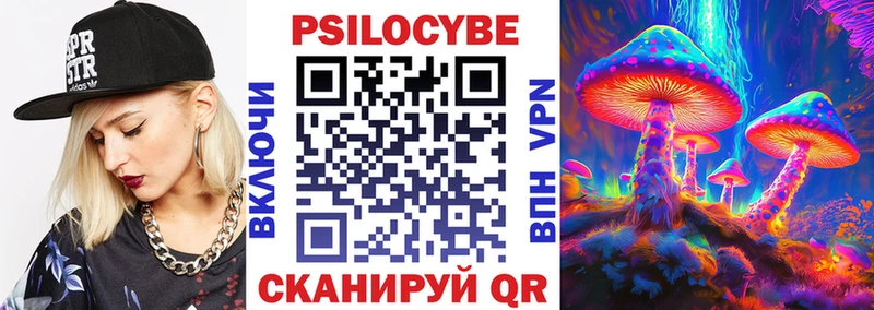 Галлюциногенные грибы Cubensis Сланцы